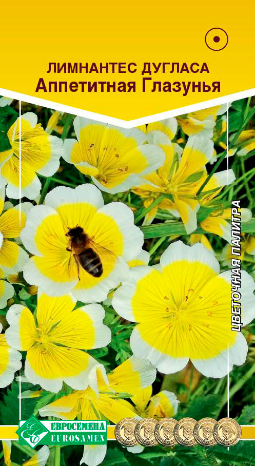 ����  ������ ���������� ��������� ������� ���������� ��������, 10 ��., ������ �� 41 ���