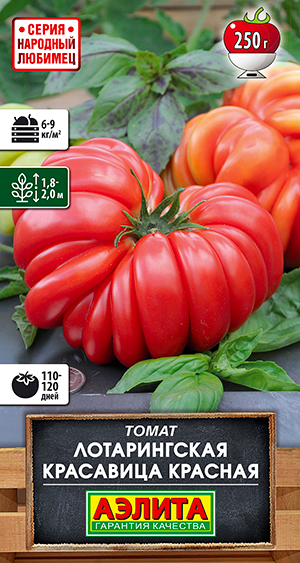 ����  ������ ������ ����� ������������ ��������� �������, 10 ��. �������� �������, ������ �� 75 ���