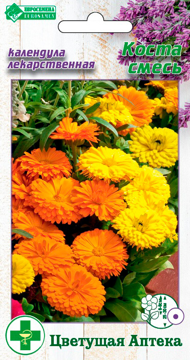 ����  ������ ���������� ��������� ������������� �����, �����, 10 ��. �������� ������, ������ �� 48 ���