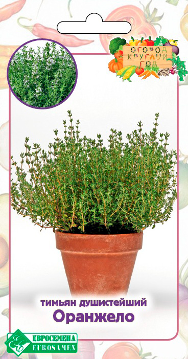 ����  ������ ���������� ������ ����������� ��������, 5 ��. ������ ������� ���, ������ �� 80 ���