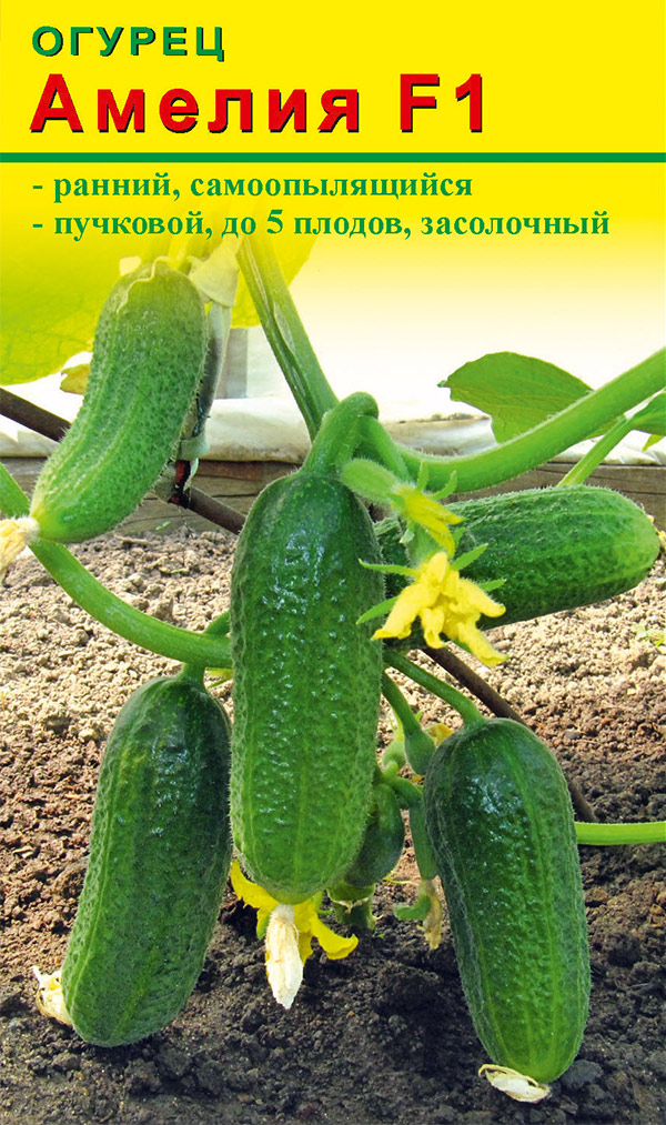 ����  ������ ����� ������ ������ ������ F1, 10 ��., ������ �� 78 ���