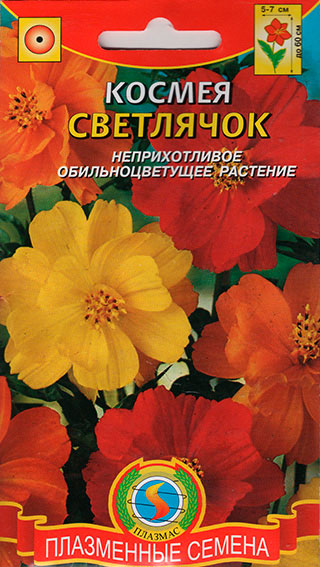 ����  ������ ������� ������ ���������, �����, 0,3 �, ������ �� 39 ���