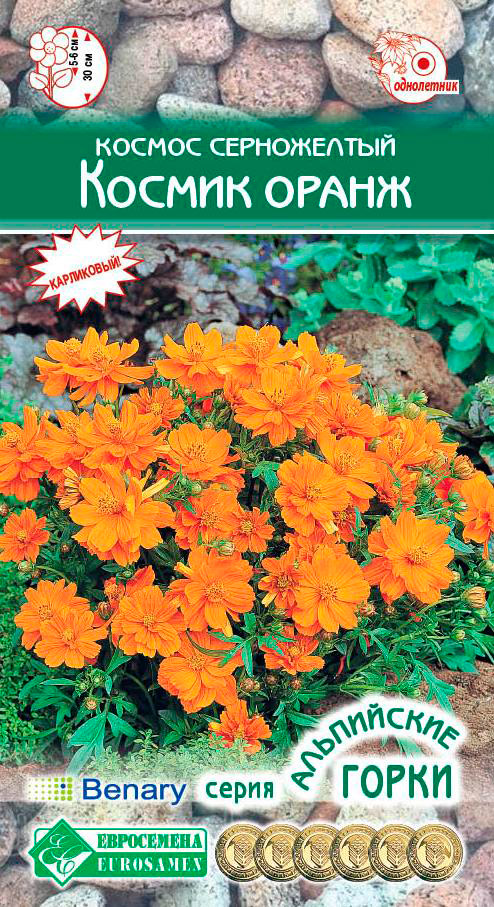 ����  ������ ���������� ������ ����������� ������ �����, 10 ��. Benary ���������� �����, ������ �� 68 ���