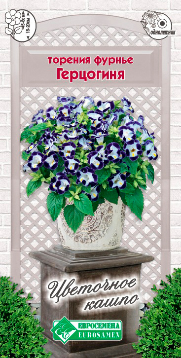 ����  ������ ���������� ������� ������ ���������, 5 ��. ��������� �����, ������ �� 98 ���