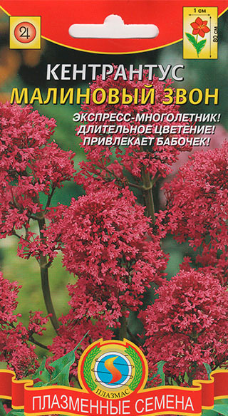 ����  ������ ������� ���������� ��������� ����, 0,05 �, ������ �� 45 ���