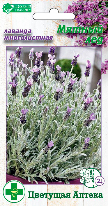 ����  ������ ���������� ������� ������������ ������ ��, 7 ��. �������� ������, ������ �� 95 ���