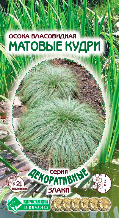 ����  ������ ���������� ����� ����������� ������� �����, 5 ��. ������������ �����, ������ �� 98 ���