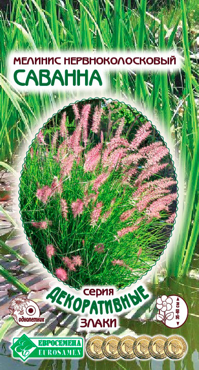 ����  ������ ���������� ������� ���������������� �������, 5 ��. ������������ �����, ������ �� 89 ���