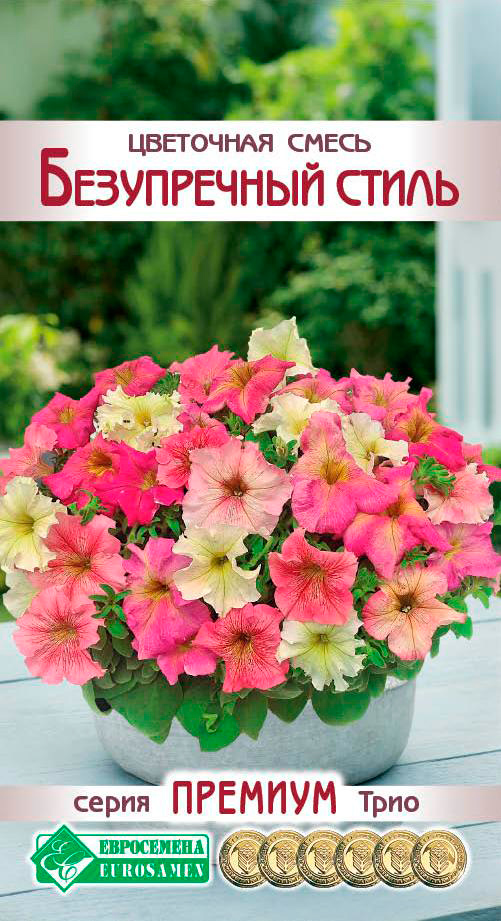 ����  ������ ���������� ��������� ����� ����������� �����, 6 ����� ������� ����, ������ �� 145 ���