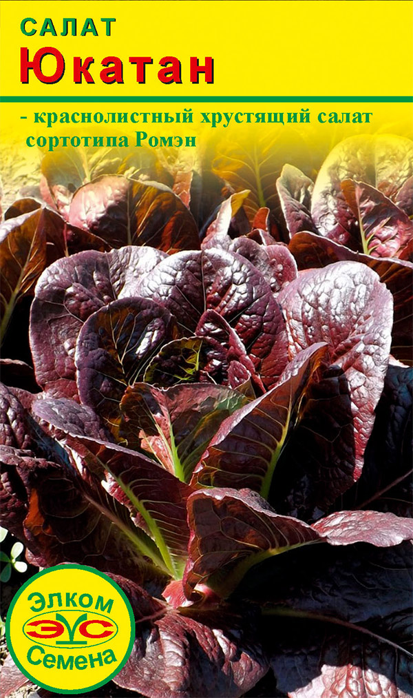 ����  ������ ����� ������ ����� �������, 0,1 �, ������ �� 65 ���