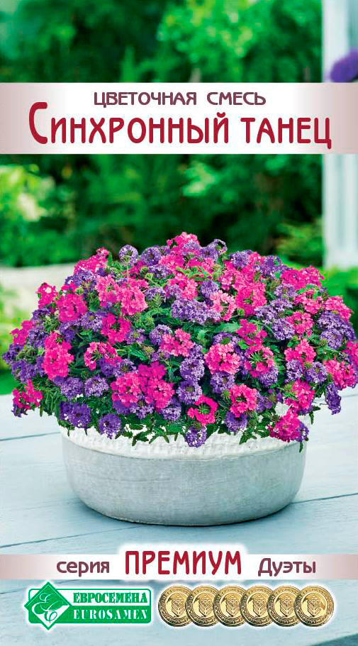 ����  ������ ���������� ��������� ����� ���������� �����, 6 ��. ������� �����, ������ �� 125 ���