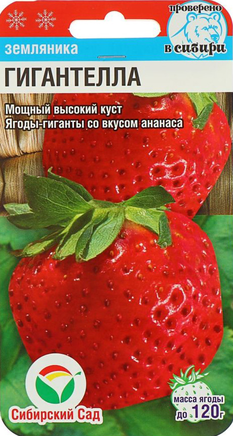 ����  ������ ��������� ��� ��������� ������������� ����������, 10 ��., ������ �� 95 ���