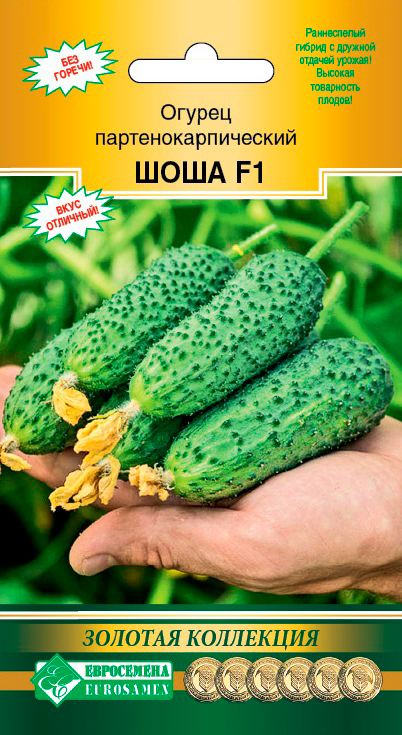 ����  ������ ���������� ������ ���� F1, 5 ��. ������� ���������, ������ �� 170 ���