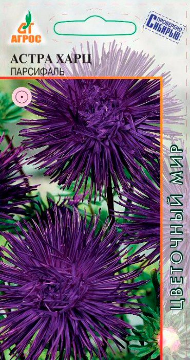 ����  ������ ����� ����� ���� ���������, 0,3 � ��������� �������, ������ �� 48 ���