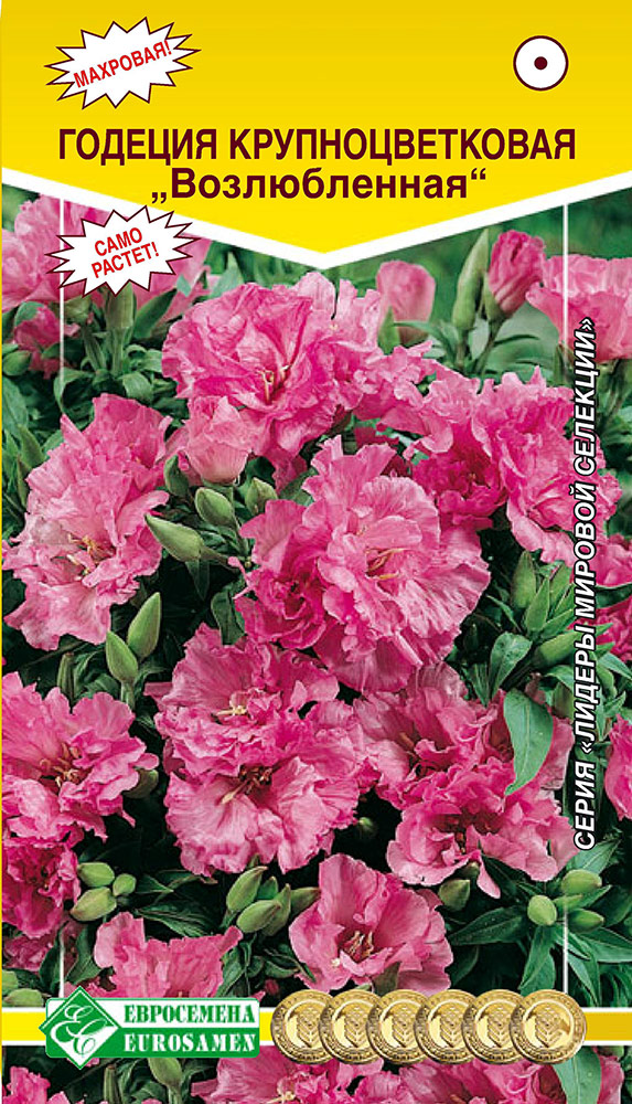 ����  ������ ���������� ������� ��������������� ������������, 0,3 � ������ ������� ��������, ������ �� 59 ���