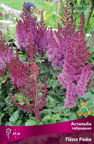 ����  ���������� �������� ����� ��������� �������� ��������� Ϩ�� ����, 1 ��., ������ �� 465 ���