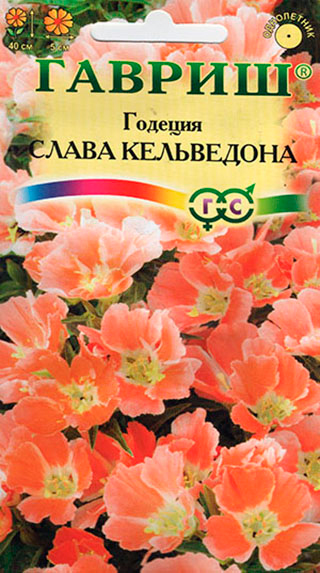 ����  ������ ������ ������� ����� ����������, 0,05 �, ������ �� 35 ���