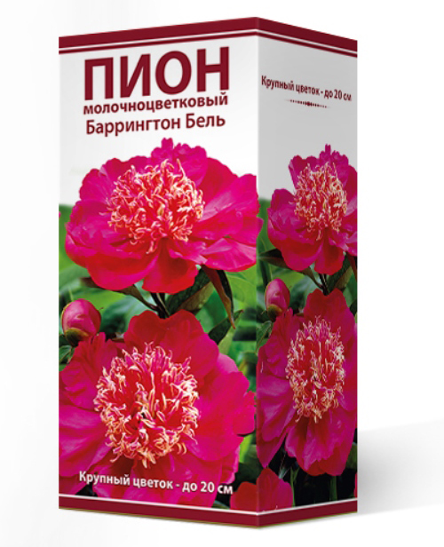 ����  ���������� �������� ����� ��������� ���� ���������������� ���������� ����, 1 ��., ������ �� 745 ���