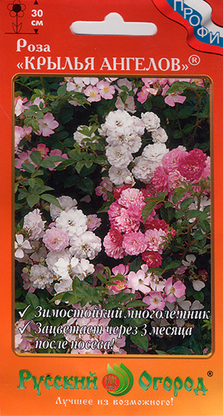 ����  ������ ������� ������ ���� ������ �������, 10 ��., ������ �� 78 ���