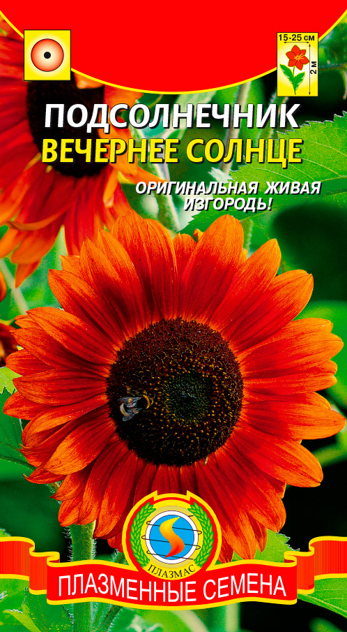 ����  ������ ������� ������������ �������� ������, 12 ��., ������ �� 35 ���