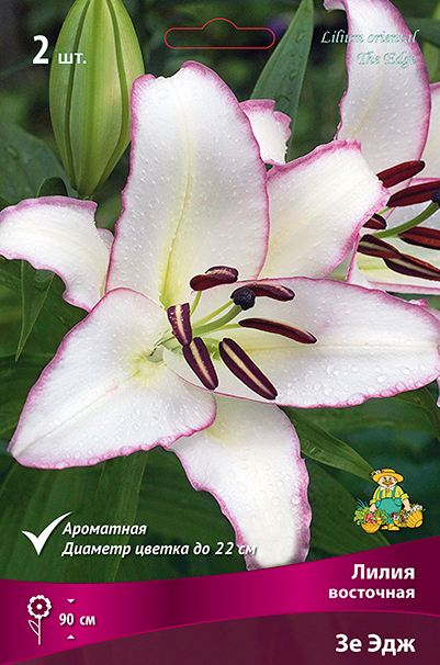 ����  ���������� �������� ����� ��������� ����� ��������� �� ���, 2 ��., ������ �� 449 ���