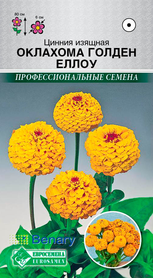 ����  ������ ���������� ������ ������� �������� ������ �����, 10 ��. Benary ���������������� ������, ������ �� 57 ���