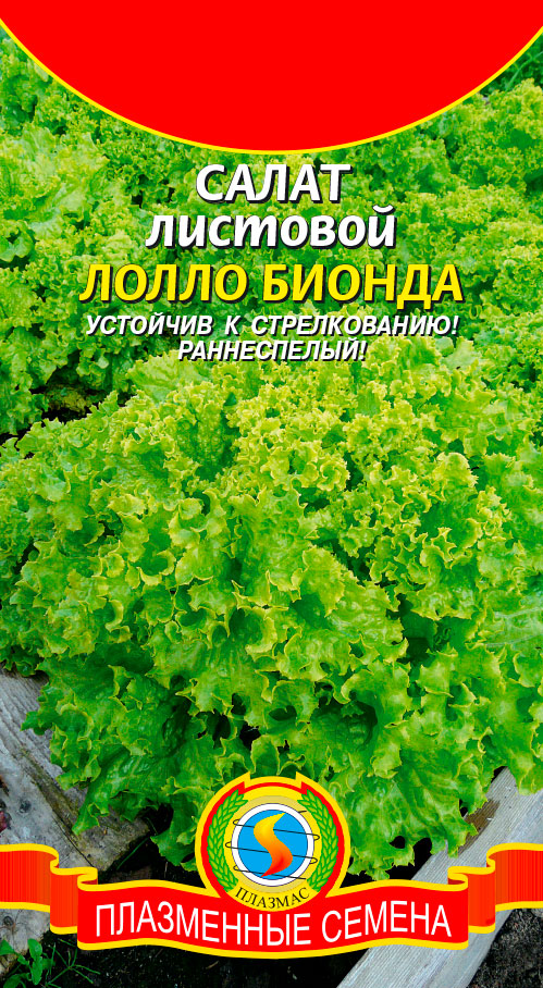 ����  ������ ������� ����� ����� ������, 0,5 �, ������ �� 39 ���