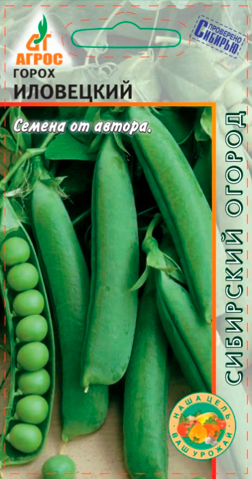 ����  ������ ����� ����� ���������, 10 � ��������� �������, ������ �� 48 ���