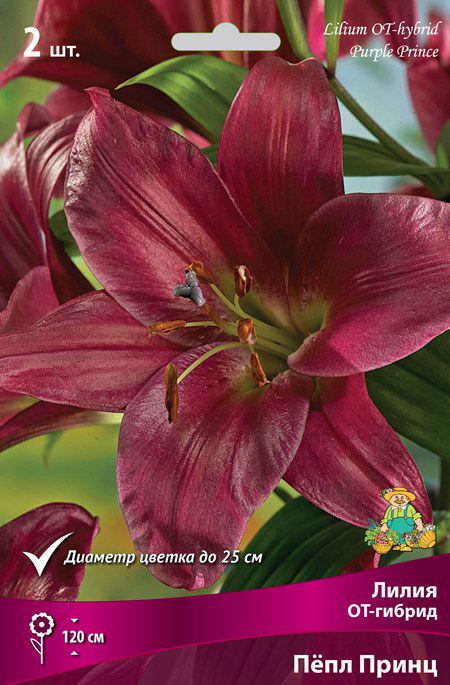 ����  ���������� �������� ����� ��������� ����� ��-������ Ϩ�� �����, 2 ��., ������ �� 375 ���