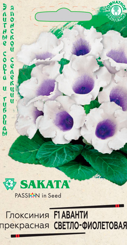       - F1, 5 . Sakata    -     , -, 