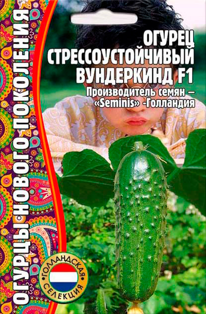 ����  ������ ��������� ������ ����������������� ���������� F1,, 5+1 ��. ������ ������ ���������, ������ �� 170 ���