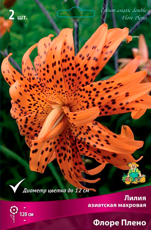 ����  ���������� �������� ����� ��������� ����� ��������� �������� ����� �����, 2 ��., ������ �� 575 ���