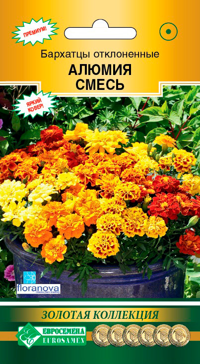 ����  ������ ���������� �������� ����������� ������, �����, 10 ��. Floranova ������� ���������, ������ �� 95 ���