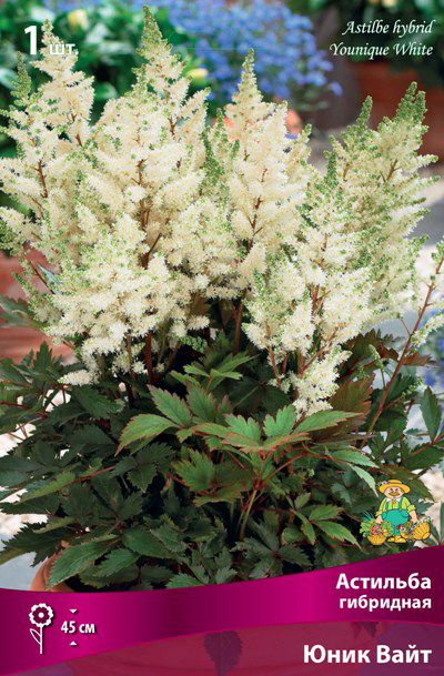 ����  ���������� �������� ����� ��������� �������� ��������� ���� ����, 1 ��., ������ �� 395 ���