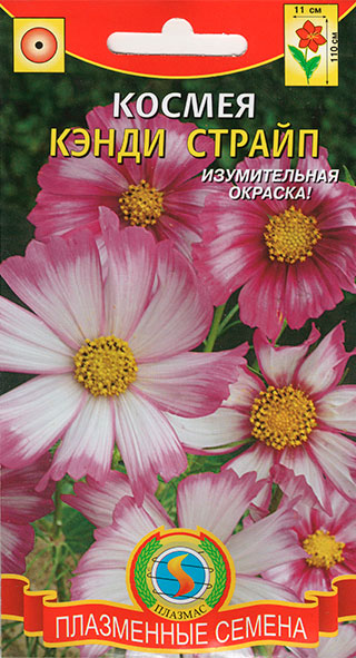 ����  ������ ������� ������ ����� ������, 30 ��., ������ �� 35 ���