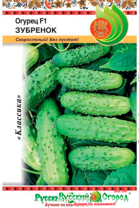 ����  ������ ������� ������ ������ �������� F1, 10 ��., ������ �� 35 ���