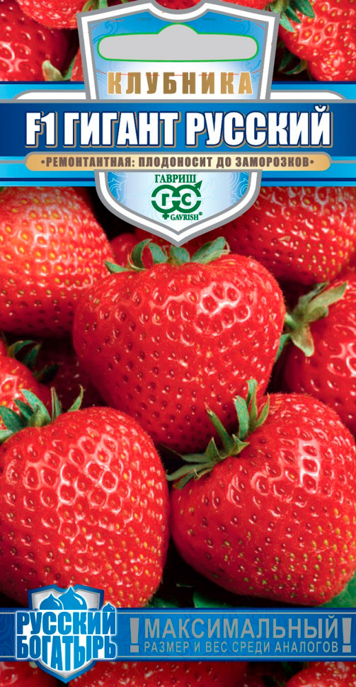 ����  ������ ������ �������� ������ ������� F1, 5 ��. ������� ��������, ������ �� 198 ���