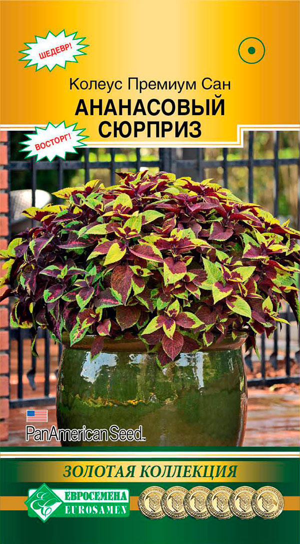 ����  ������ ���������� ������ ����� ������� ��� ���������� �������, 3 ����� ������� ���������, ������ �� 175 ���