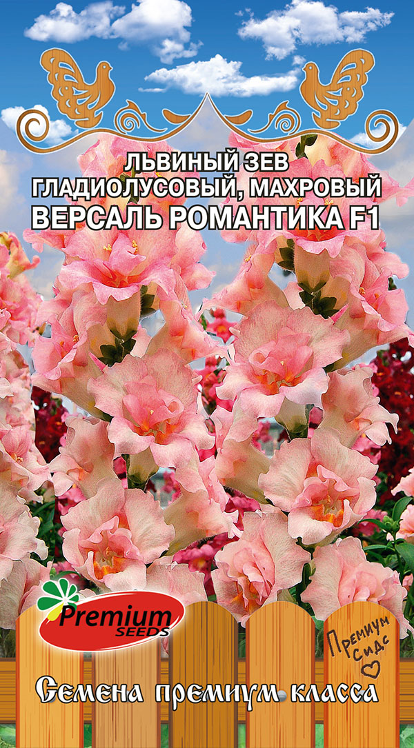    Premium seeds       F1, 5 .   ,   123 