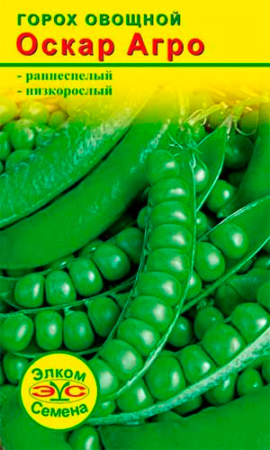 ����  ������ ����� ������ ����� ����� ����, 4 �, ������ �� 39 ���