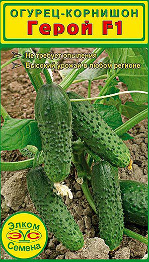 ����  ������ ����� ������ ������ - �������� ����� F1, 10 ��., ������ �� 125 ���