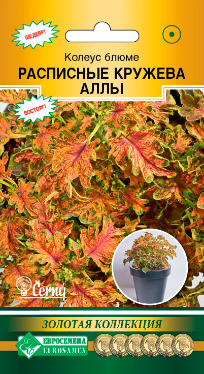 ����  ������ ���������� ������ ����� ��������� ������� ����, 10 ����� Cerny ������� ���������, ������ �� 113 ���