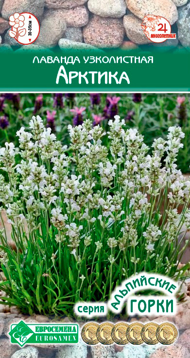 ����  ������ ���������� ������� ����������� �������, 5 ��. ���������� �����, ������ �� 125 ���