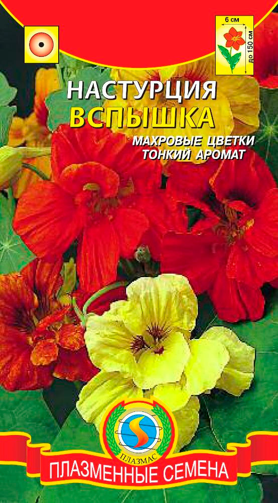 ����  ������ ������� ��������� �������, �����, 9 ��., ������ �� 43 ���