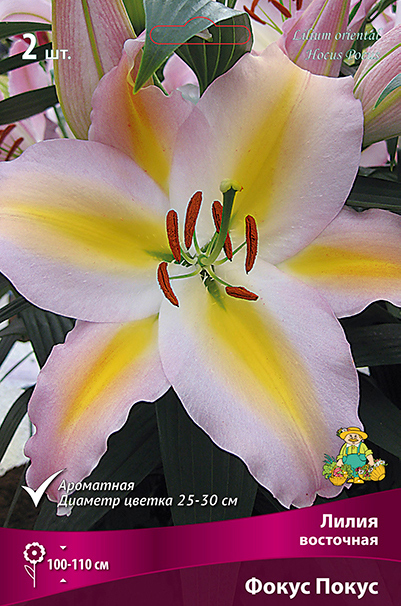 ����  ���������� �������� ����� ��������� ����� ��������� ����� �����, 2 ��., ������ �� 525 ���