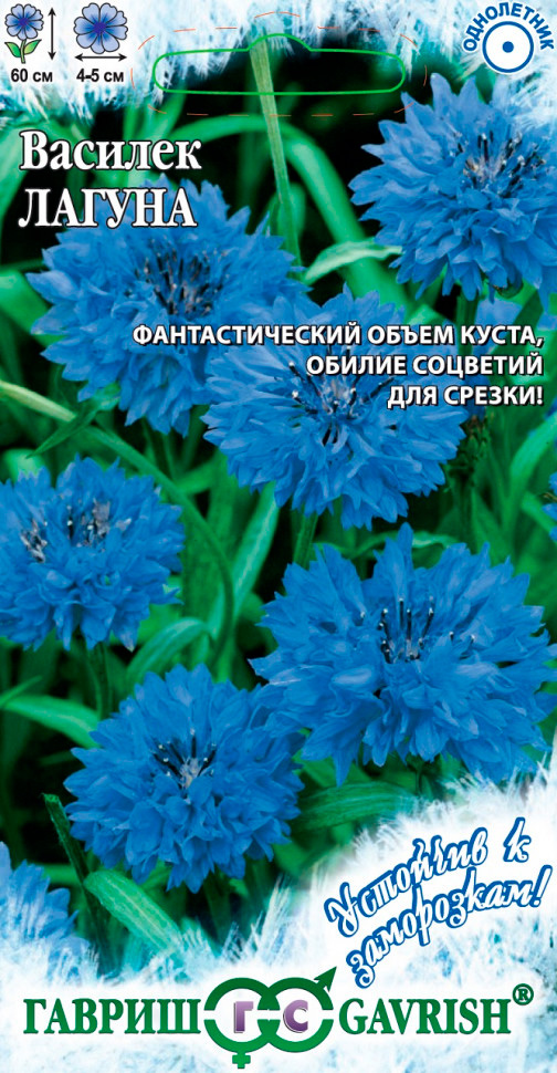 ����  ������ ������ ������� ������, 0,2 � �������� � ����������!, ������ �� 35 ���