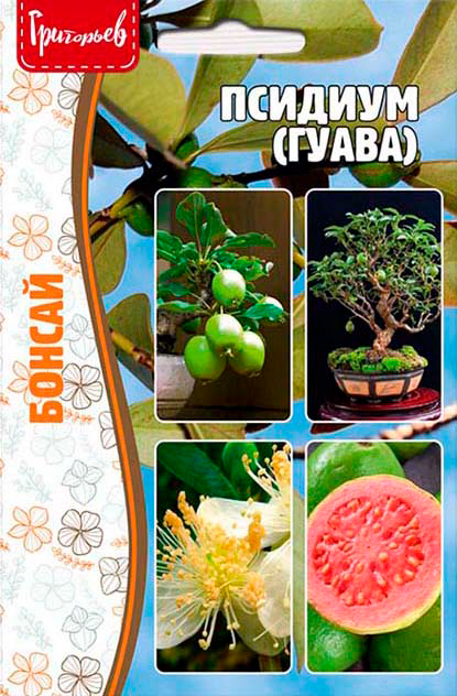 ����  ������ ��������� ������� �����, 10 ��. ������, ������ �� 98 ���