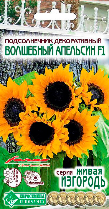 ����  ������ ���������� ������������ ������������ ��������� �������� F1, 5 ��. Farao ����� ��������, ������ �� 68 ���