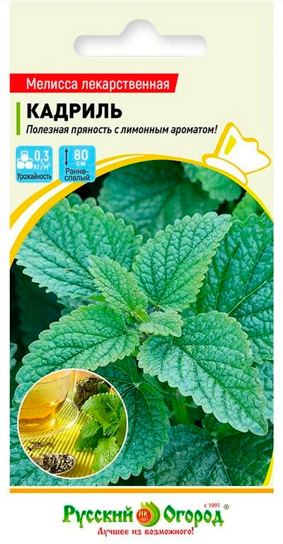 ����  ������ ������� ������ ������� ������������� �������, 0,2 �, ������ �� 29 ���