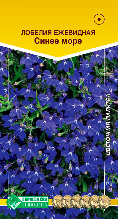 ����  ������ ���������� ������� ����� ����, 0,1 � ��������� �������, ������ �� 65 ���